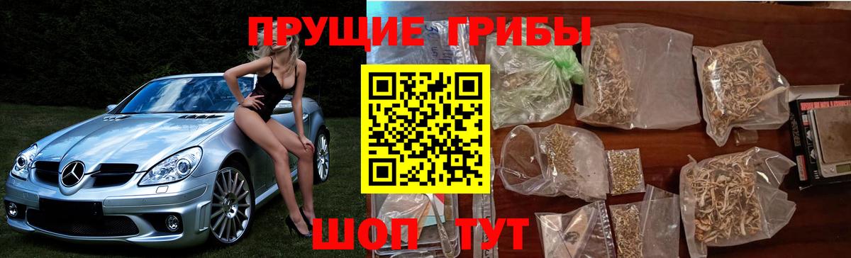Галлюциногенные грибы мухоморы Тихвин