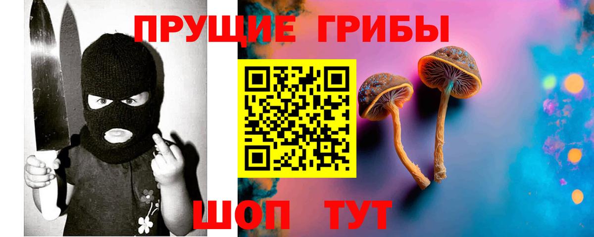 Псилоцибиновые грибы мицелий  Псилоцибиновые грибы Psilocybe  Вход с VPN  Тихвин 